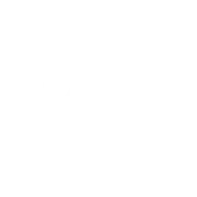 VasPhotography logo white