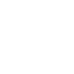 VasPhotography logo white